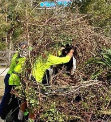 Our Keep Venice Beautiful and Venice in Bloom Volunteer Teams Hard at Work!